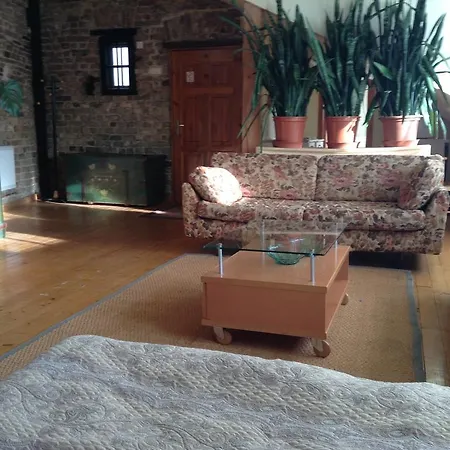 Cheap And Chic Daire *