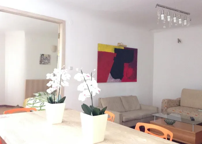 查普奇柯公寓 *