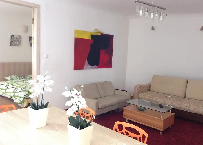 查普奇柯公寓 * 里加