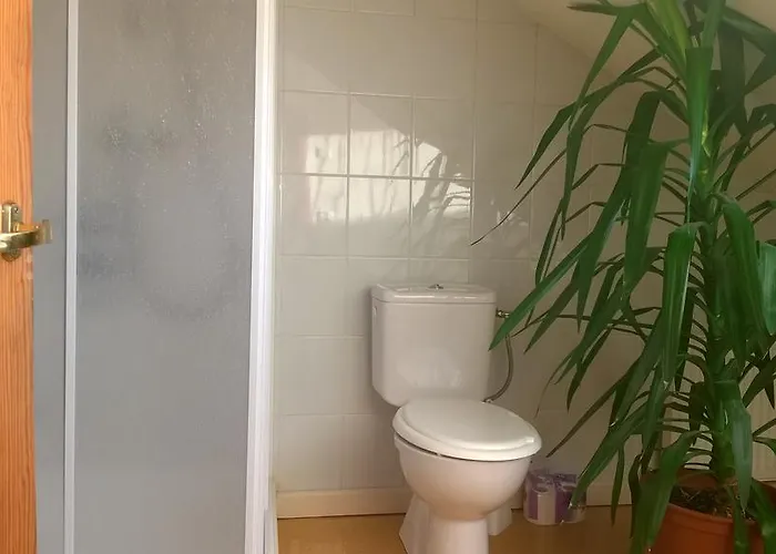 Cheap And Chic Apartment Riga