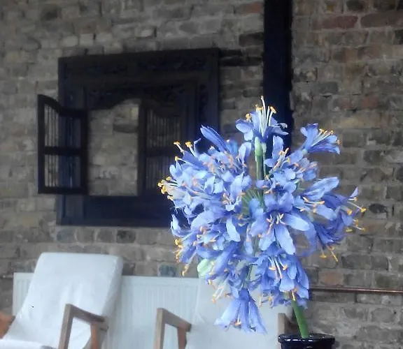 查普奇柯公寓 * 里加