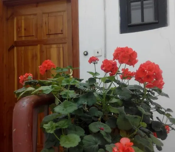 Cheap And Chic * Riga